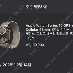 애플워치 10 46mm 내추럴 티타늄 + 내추럴 밀레니즈 루프