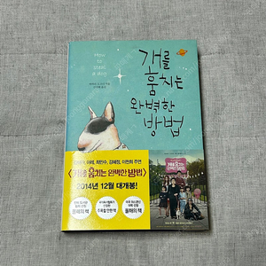 개를 훔치는 완벽한 방법 소설책 판매