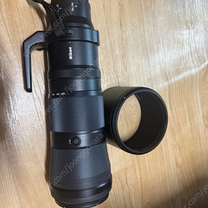 [인천]니콘 렌즈 NIKKOR Z 180-600mm f/5.6-6.3 VR