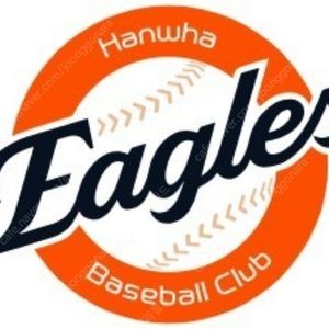 7월 17일~18일 한화이글스 vs KT위즈 3루 메인응원지정석 2연석 양도