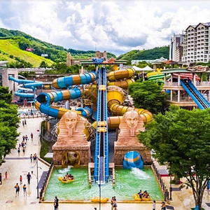 (8월 1일) 홍천 비발디파크 소노펠리체 오션월드 리조트!!