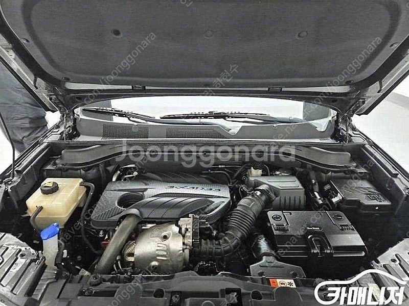 19년식 [KG모빌리티(쌍용) ]뷰티풀코란도 2WD 디...--5