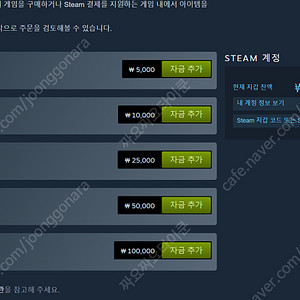 스팀 월렛 13만원 85% 판매합니다. 도타2, csgo 카스 등 스킨