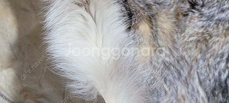 <<판매>> 독일 천연 (폭스)여우털 대형 얇은 러그 ...--8