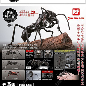 반다이 생물대도감 팝니다.