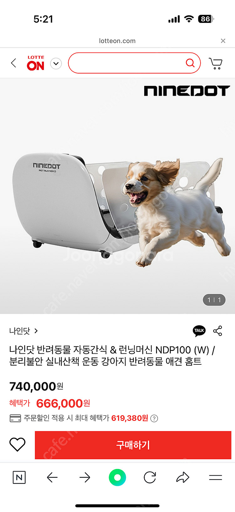 나인닷 펫러너 강아지 런닝머신--4