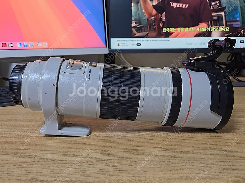 캐논 ef 300mm f4l is usm--1