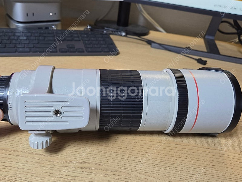캐논 ef 300mm f4l is usm--3