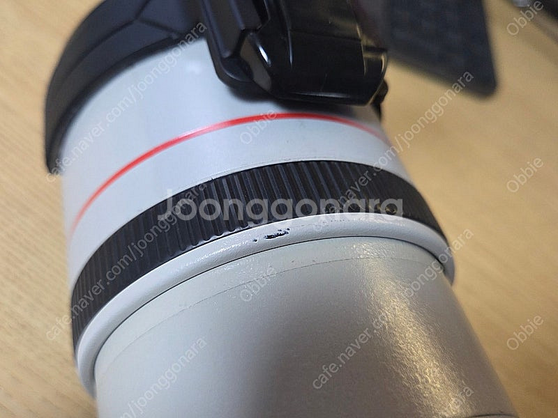 캐논 ef 300mm f4l is usm--6