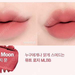 에스쁘아 꾸뛰르 립 틴트 퓨어 벨벳 2호 로지 문 여쿨 겨쿨 봄웜 갈웜