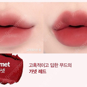 에스쁘아 꾸뛰르 립 틴트 퓨어 벨벳 5호 가넷 여쿨 겨쿨 봄웜 갈웜