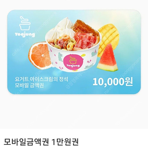 요거트아이스크림의 정석 1만원권