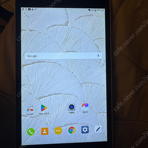 LG Homeboy 태블릿 LG-P451L