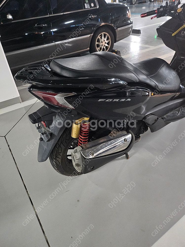 포르자 300 2015년--3