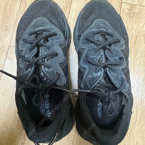 아디다스 오즈위고 235
