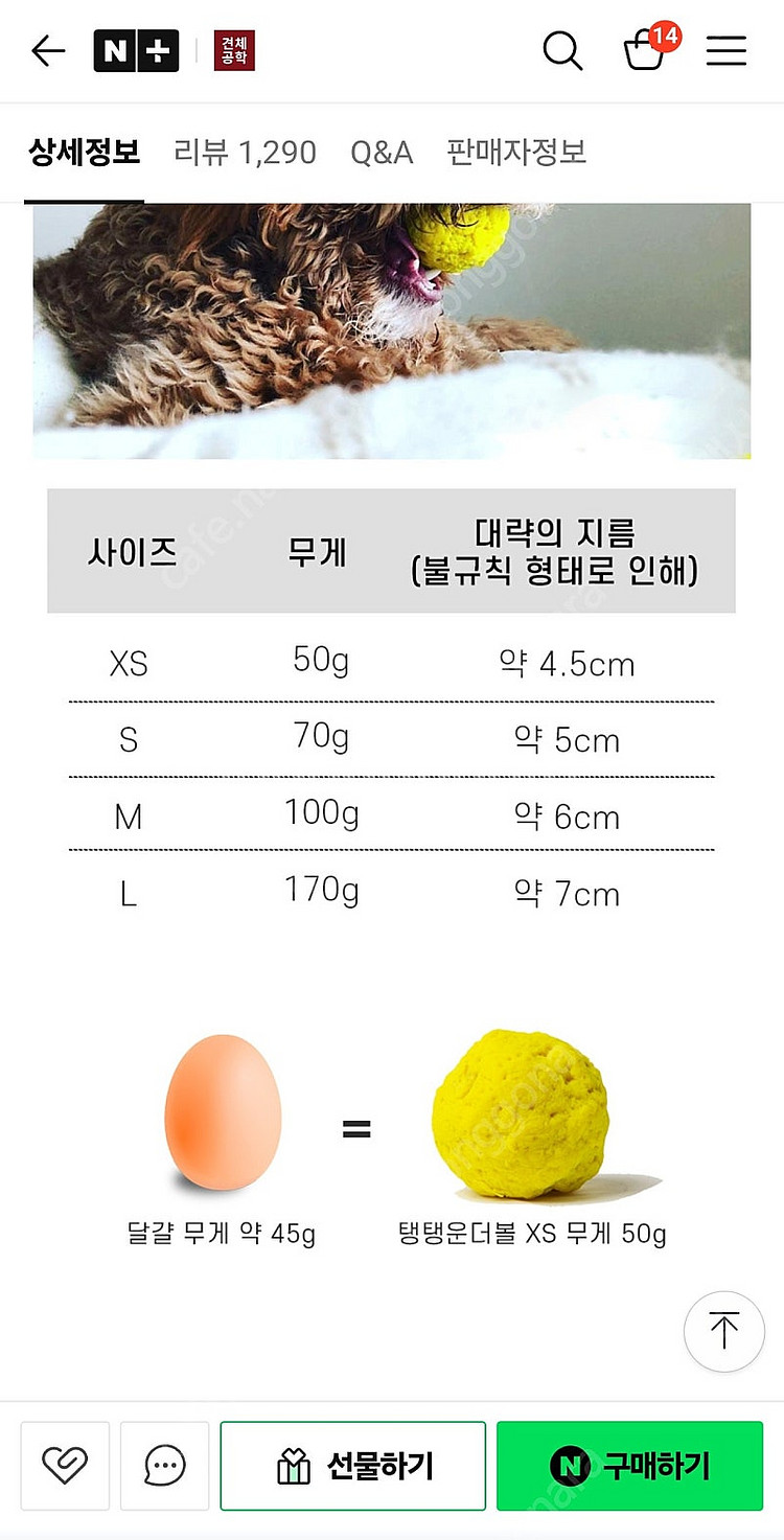 견체공학 탱탱운더볼 m사이즈 강아지 장난감 공--2