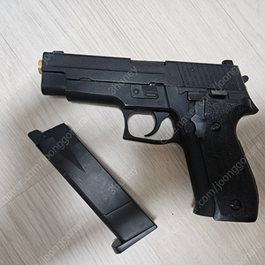 we p226