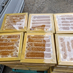 양봉 벌집꿀 토핑용 벌집꿀 판매합니다