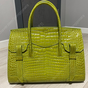 호미가 악어백 팝니다. (새상품급 / 올리브 그린) 이미지