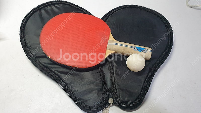 탁구라켓--2