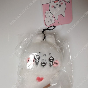 나가노 마켓 수족관 클리오네 치이카와 농담곰 굿즈 인형 마스코트