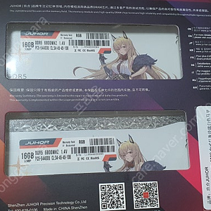 JUHOR DDR5 6800 32GB(16GB * 2)