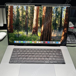 2021 맥북프로 16인치 m1 pro 1TB