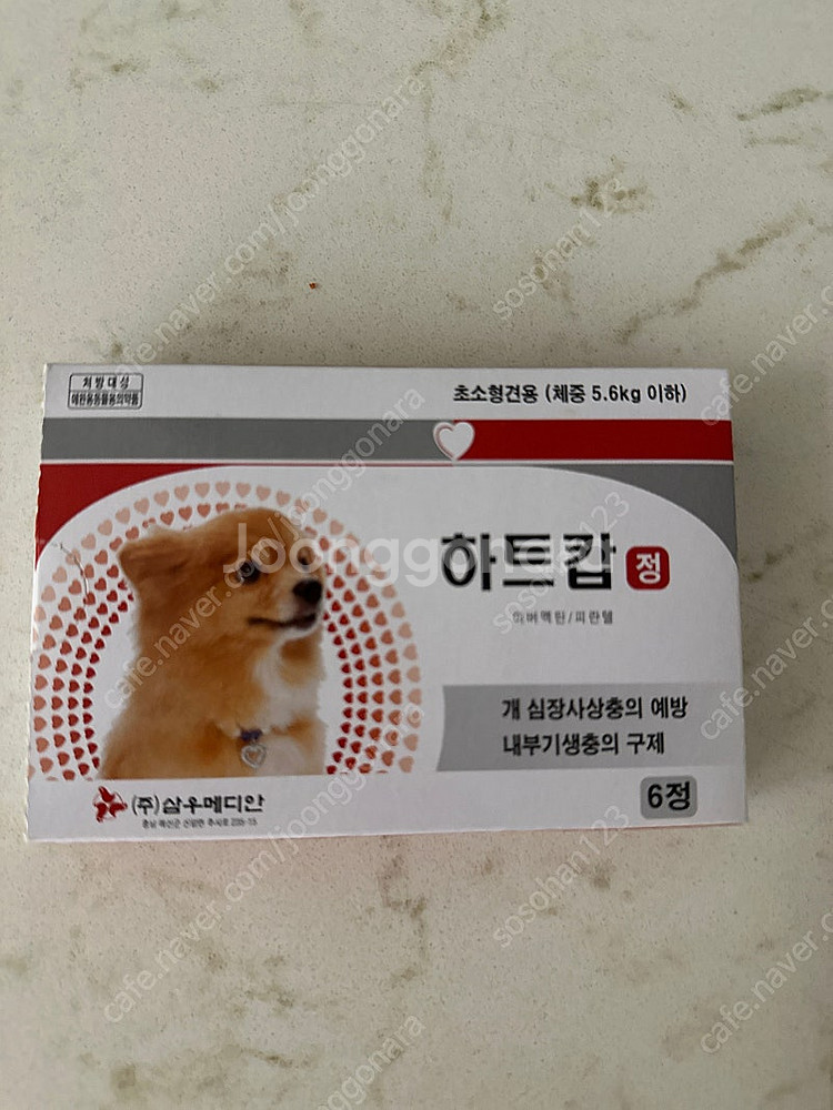 5.6kg 이하 강아지--0