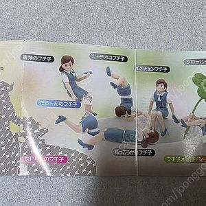 컵 위의 후치코