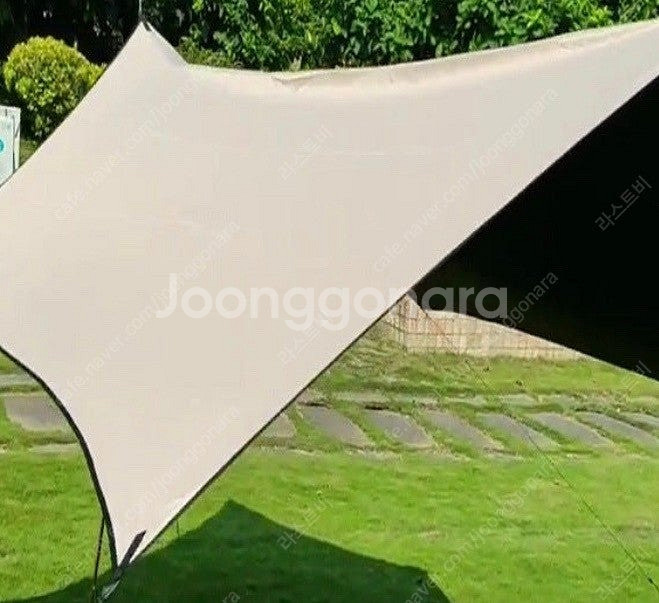 새제품) 아릭시 타프 헥사 L--0