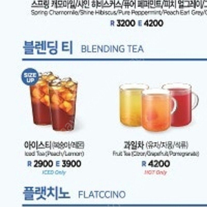 이디야 아이스티 복숭아(EX) (오늘까지)