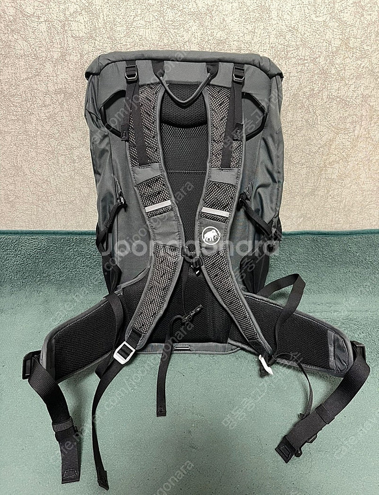 MAMMUT 마무트 SEEHORN32 등산 배낭(미착용...--1