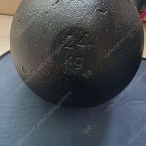 SAP 케틀벨 24kg
