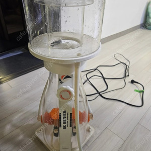 맥스펙트 스키머 팝니다