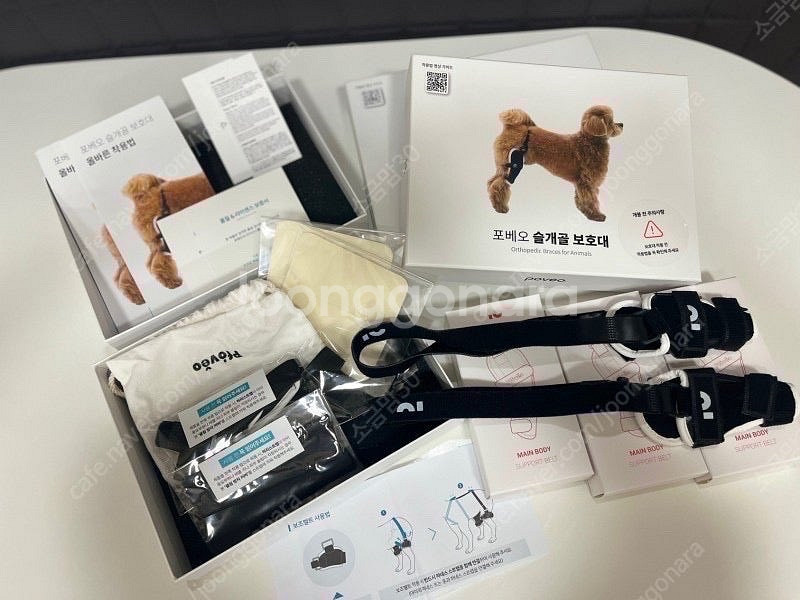 포베오 강아지 슬개골 탈구 보호대 예방 / 재활 / M--1