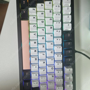 웨이브75 rgb