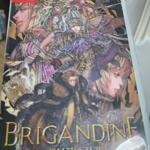 [스위치] srpg 명작 브리간다인 루나전기, 택포