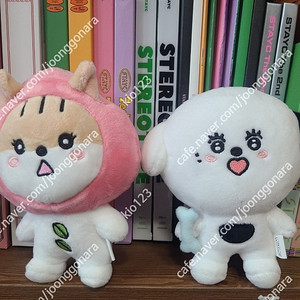 스테이씨 위씨 인형 세복이 JBB 중고