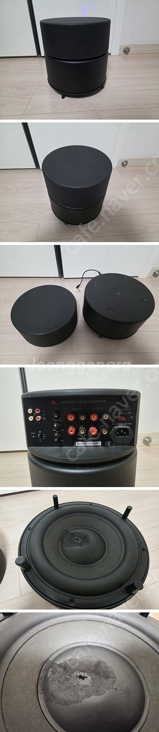 프리소너스 Presonus Eris E8 8인치 모니터...--1