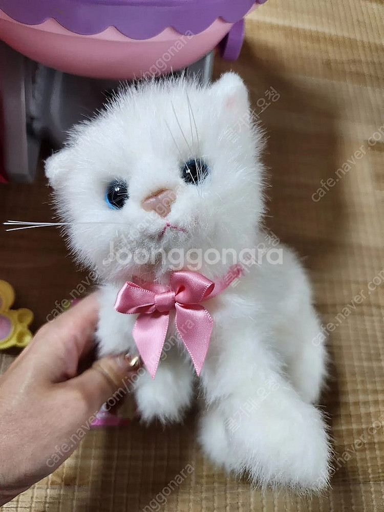 아기 고양이 냥이, 아기 강아지 포미 유모차 장난감 인...--1