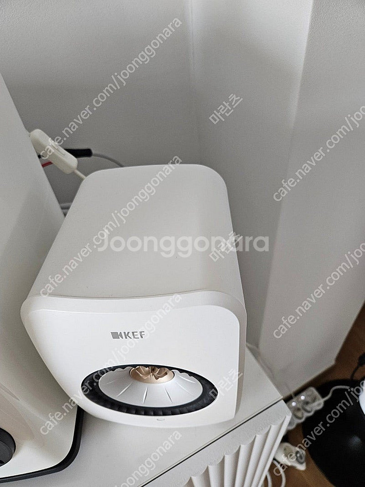 KEF LSX 2 화이트 색상 (하위 모델인 LT가 아...--2