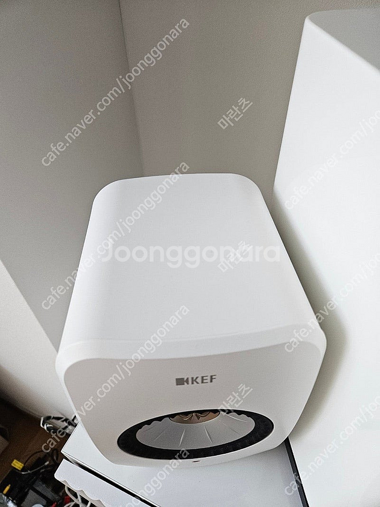 KEF LSX 2 화이트 색상 (하위 모델인 LT가 아...--5
