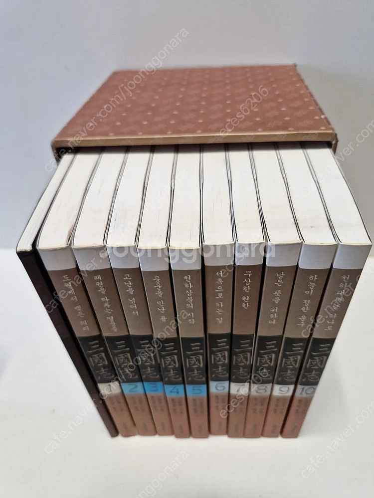 황석영 삼국지 10권 +부록--1
