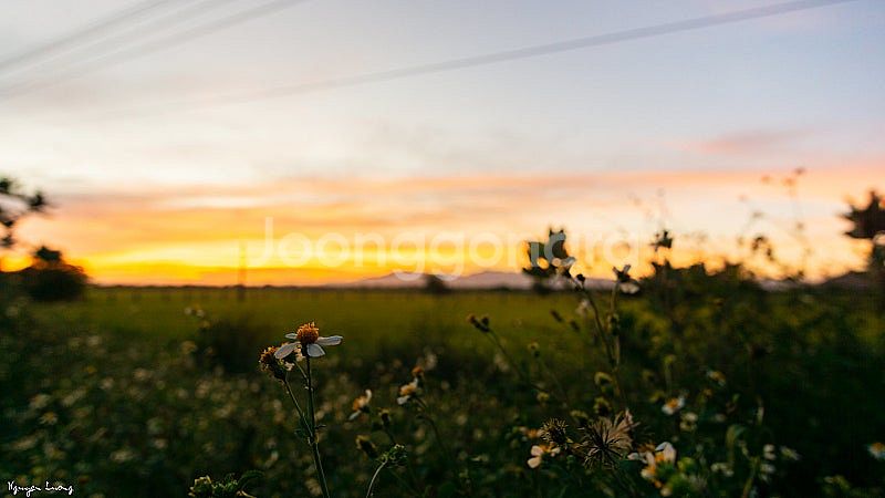 소니 미러리스용 시그마 30mm f1.4 (30.4) ...--5