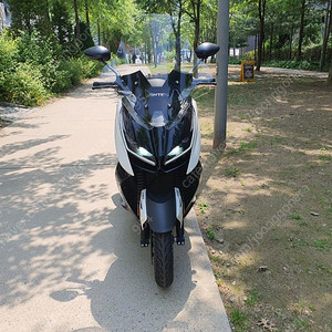 존테스125d 신차급판매합니다
