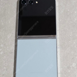 Z플립5 민트 256 SKT