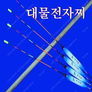 대물찌 대물낚시 민물찌