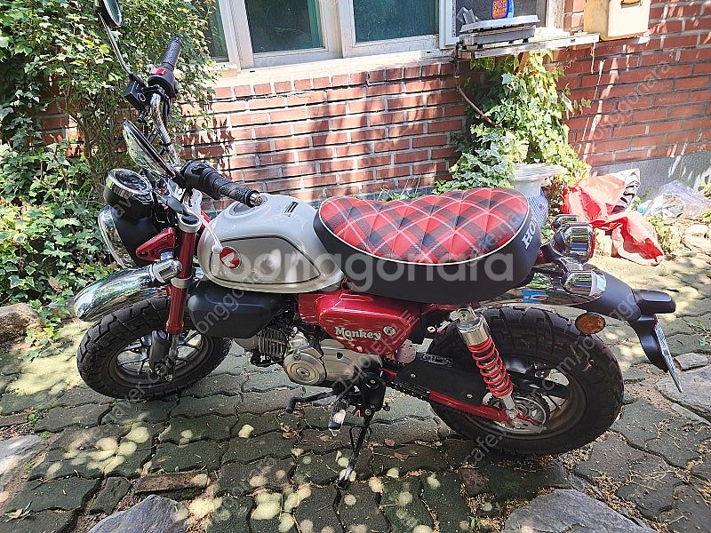 혼다 몽키 125cc(2022)--0
