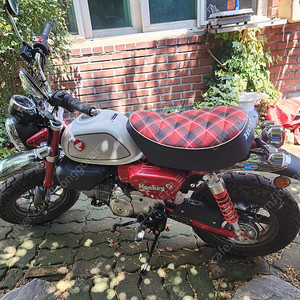 혼다 몽키 125cc(2022)