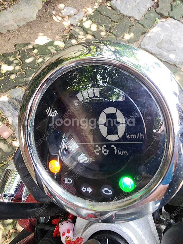 혼다 몽키 125cc(2022)--2